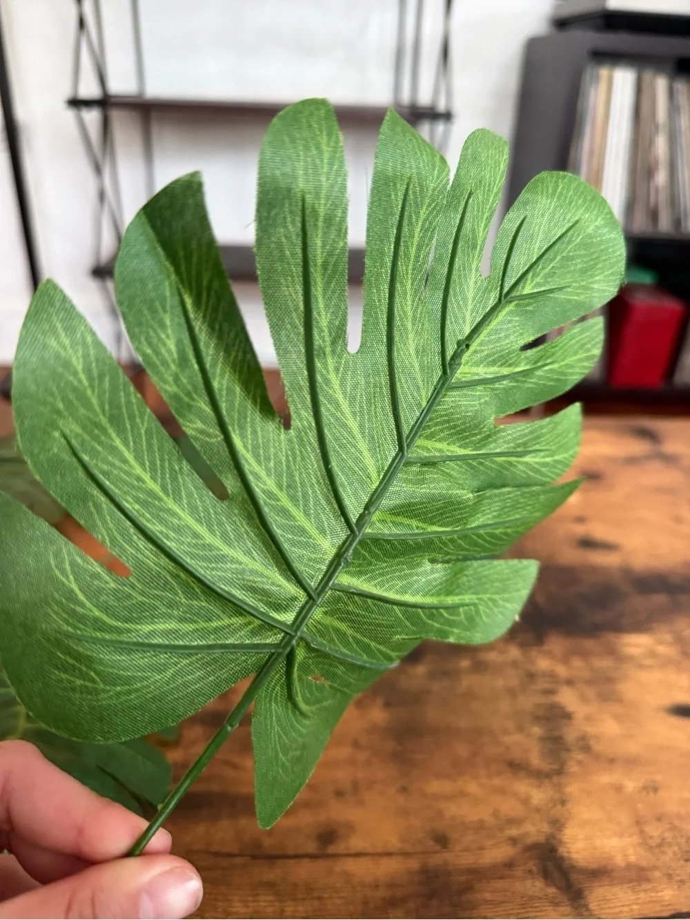 Set of 5 Faux Monstera Leaves - Green